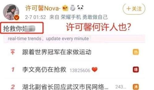 头条爆料许某馨视频大全,揭秘网络热议事件背后的真相