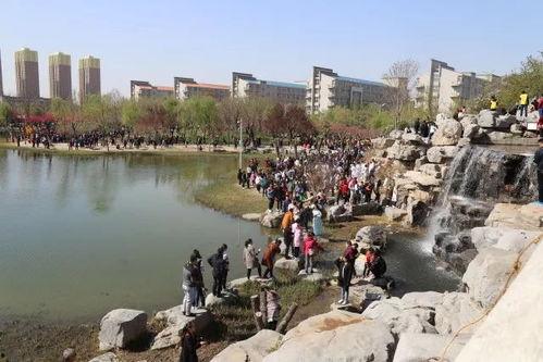 樱花独家爆料视频,樱花爆料视频背后的惊人真相